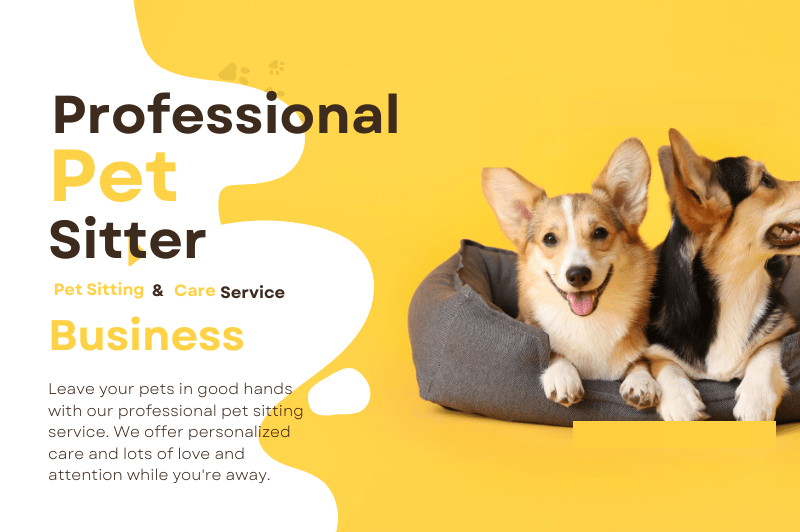 Professional Pet Sitter Walking Dog